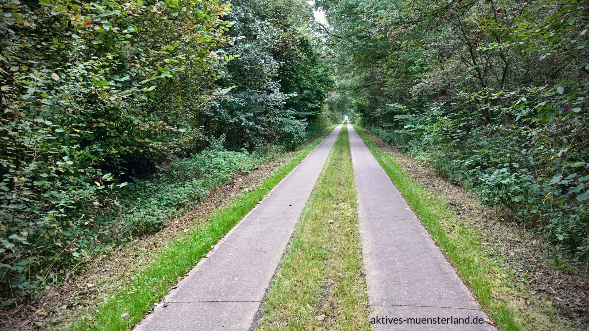 Ein Sonntagmorgen im September 2021

Eine kleine Fahrradtour mit 52 km über wunderschöne kleine Nebenstrecken.

#naturgenuss #landliebe #naturpur #grünelandschaft #seenlandschaft #waldwege #himmelunderde #outdoorliebe #fahrrad #fahrradtour #radfahren #cyclinglife #bikeadventure #radliebe #drahtesel #zweirad #radreise #bikelife